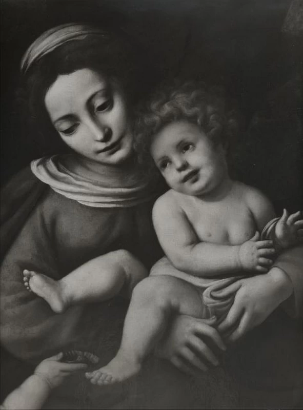 Madonna con Bambino - Fondazione Zeri, dettaglio